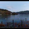20101113_046